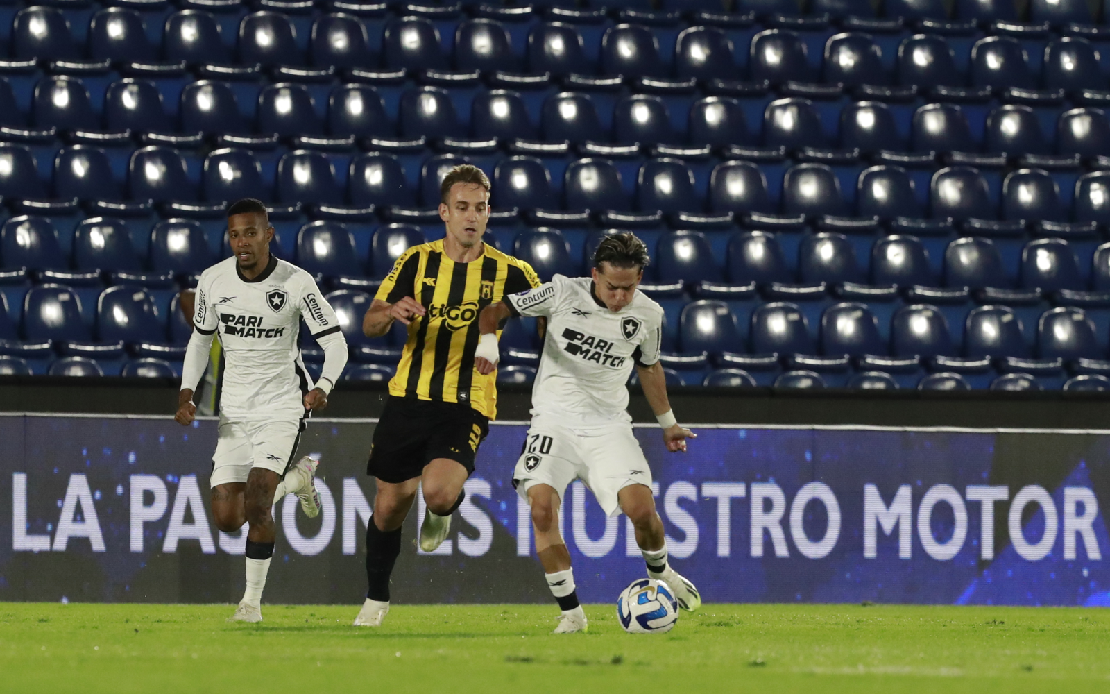 Botafogo empata com Guarani e avança na Sul-Americana (Foto: Botafogo/Commebol)