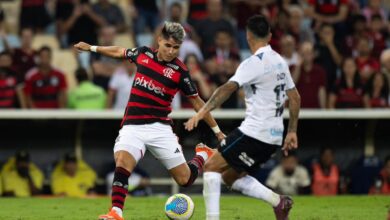 Luiz Araújo no Flamengo