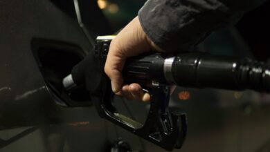 Gasolina comum é igual em todos os postos Especialista esclarece