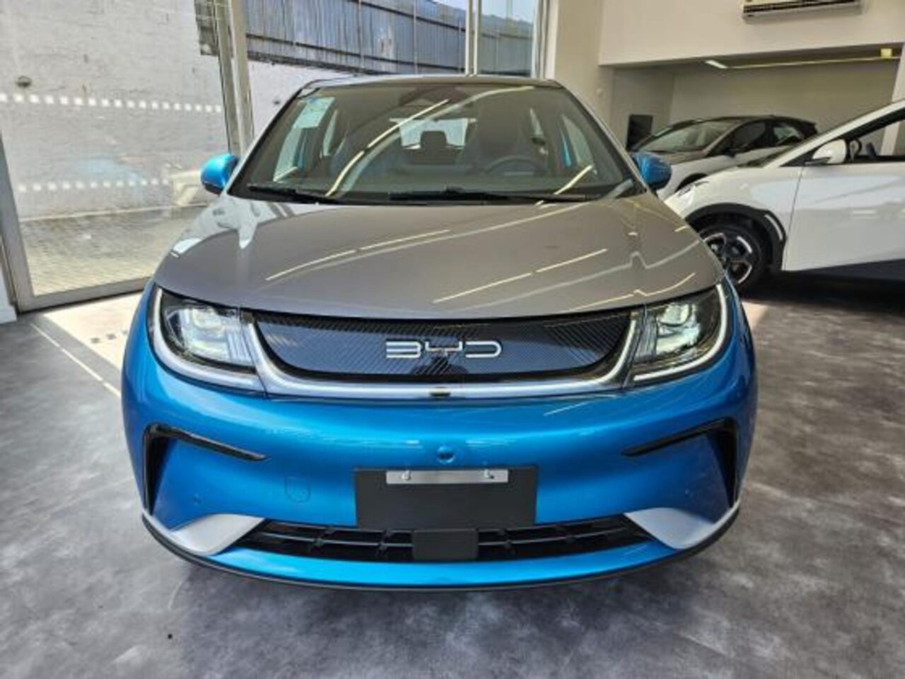 BYD Dolphin Plus 2025