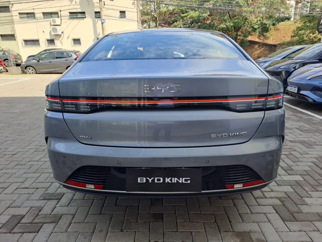 BYD King 2025