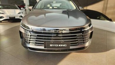 BYD King 2025