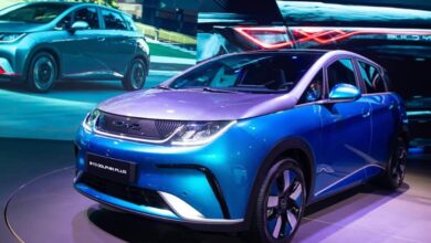 BYD Dolphin conquista 5 estrelas e se torna o carro mais seguro da América Latina no Latin NCAP