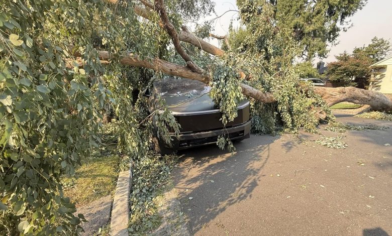 Cybertruck da Tesla sobrevive a impacto de árvore, mas reparo preocupa