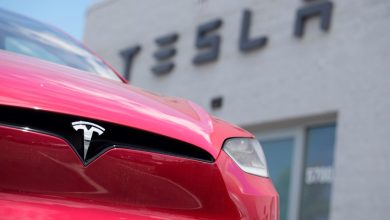 BYD Ameaça Liderança da Tesla no Mercado de Elétricos Após Queda nas Vendas