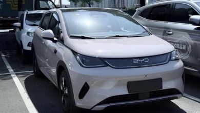 BYD Dolphin 2025 renovado chega à China com preço competitivo e sistema ADAS