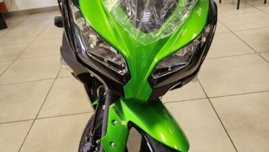 Kawasaki Ninja 300 2024