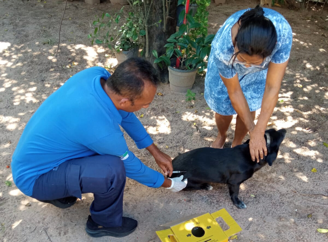 Natal inicia Campanha Antirrábica 2023 para cães e gatos