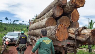 Governo autoriza nomeação de 257 servidores para o Ibama