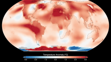 NASA diz que nunca houve um mês tão quente quanto julho de 2023