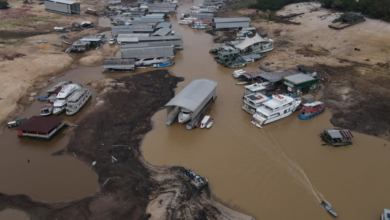 Virou deserto? Rio Negro tem pior seca dos últimos 121 anos (Créditos: Agência Brasil)