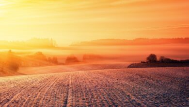 Solstício de inverno por que hoje é o dia mais curto de 2024