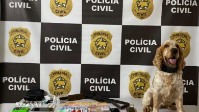 Cao policial Aquiles auxilia em operacao contra trafico de drogas em Extremoz