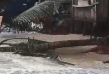 Mare alta causa destruicao nas praias de Tibau do Sul