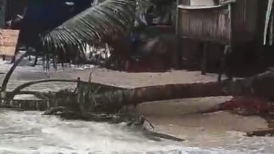 Mare alta causa destruicao nas praias de Tibau do Sul