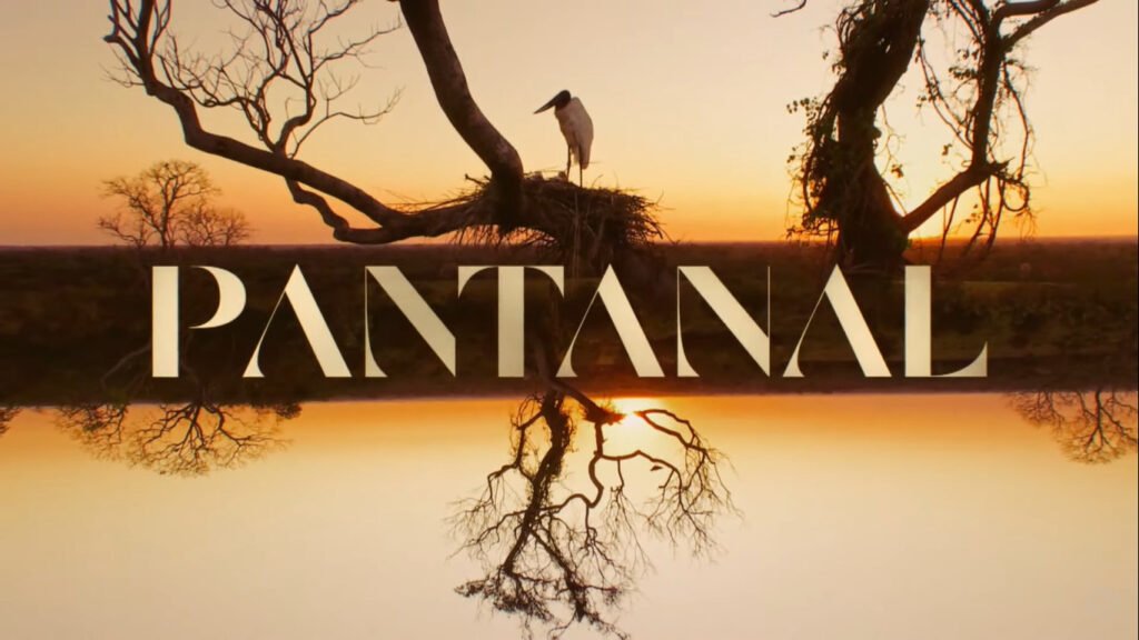 Novela Pantanal