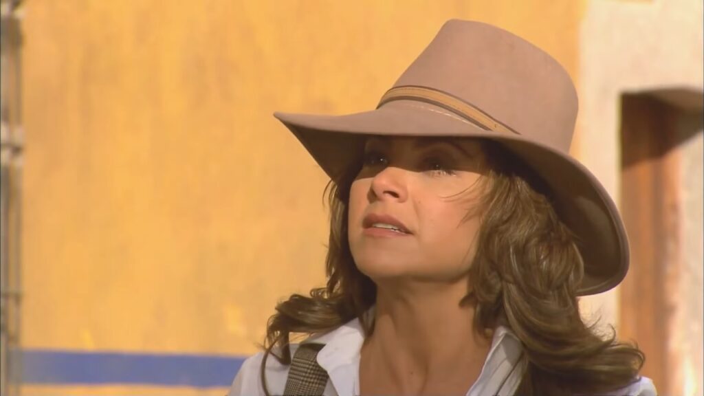 Novela A Dona