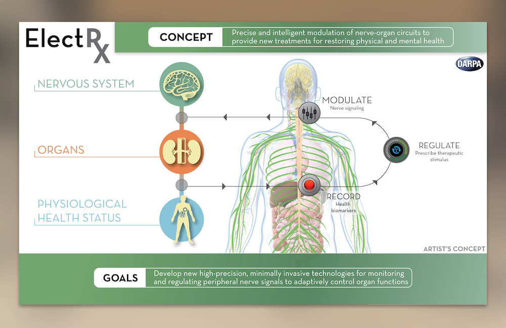 DARPA-self-healing