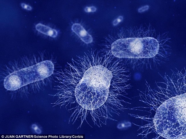 O sensor já mostrou que pode detectar coisas vivas, incluindo E coli (impressão dos artistas na foto) e fermento, bem como humana, vegetal e células ratos no laboratório. Foto: Reprodução/Daily Mail