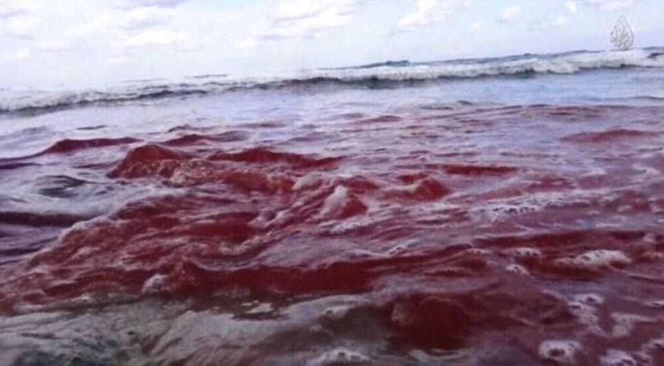 O vídeo divulgado mostra ainda um "Mar Vermelho" com o sangue dos cristão executados.