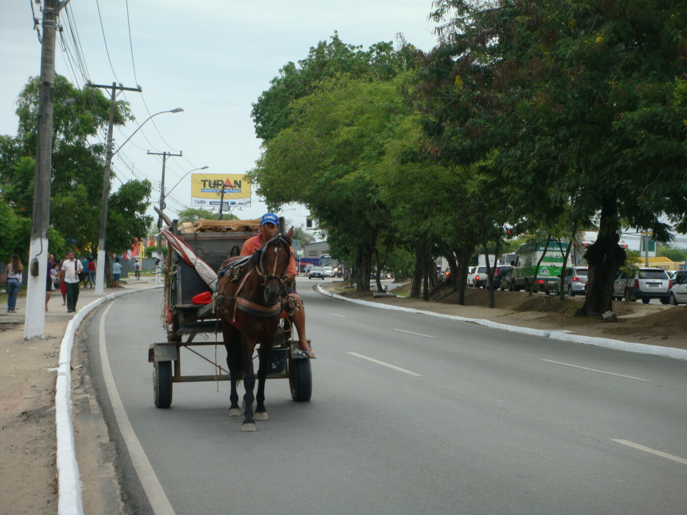 Tração-Animal-Normas-e-Vias