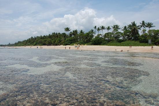 quarta-praia-beach