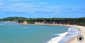 baía dos golfinhos pipa 1