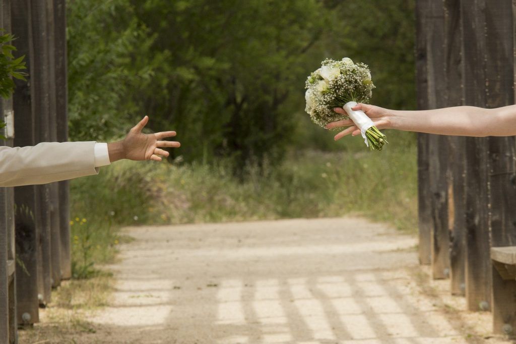 casamento 1