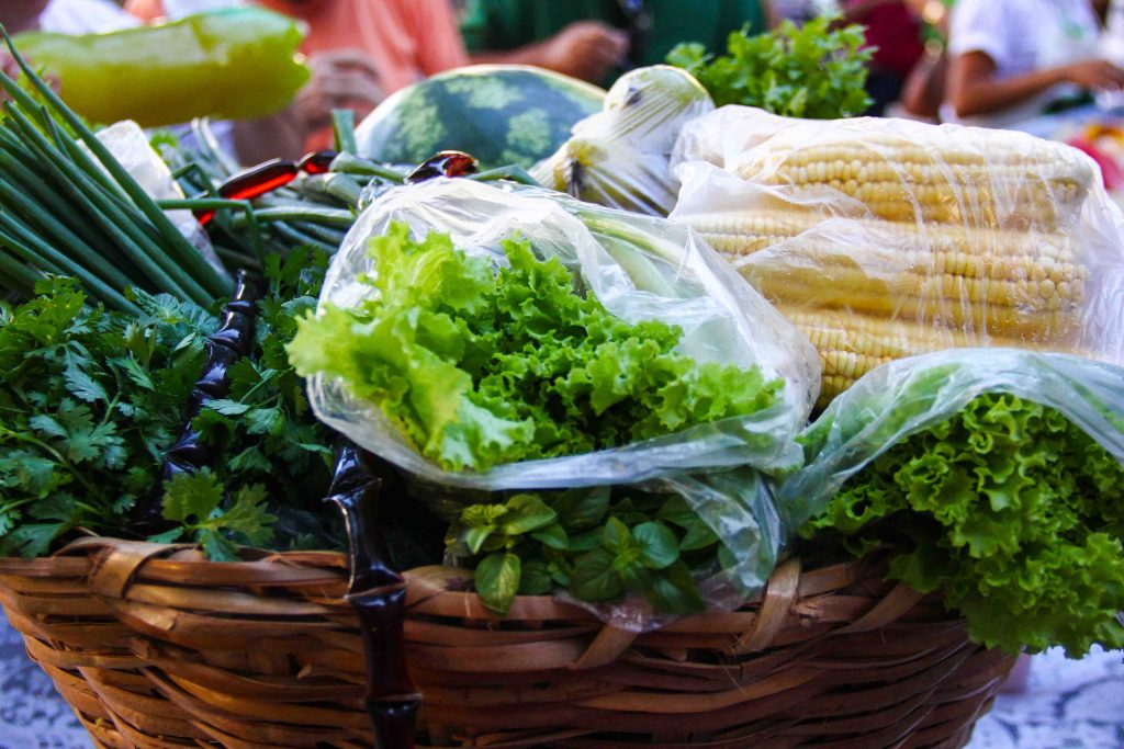 alimento orgânico 1