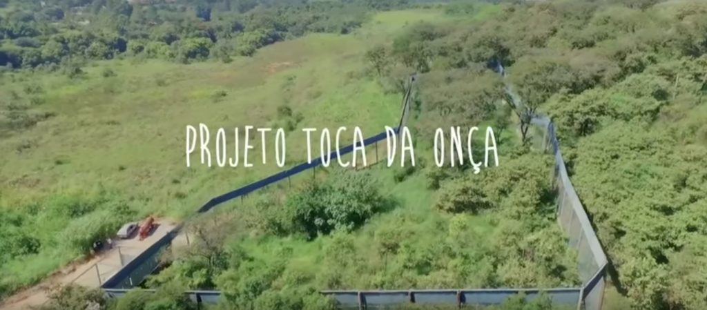 toca da onça 1