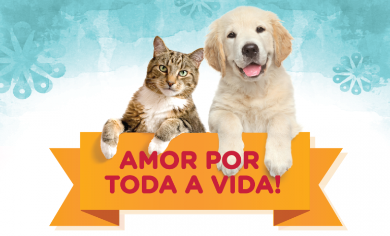 Feira de Adoção de animais 768x768 1