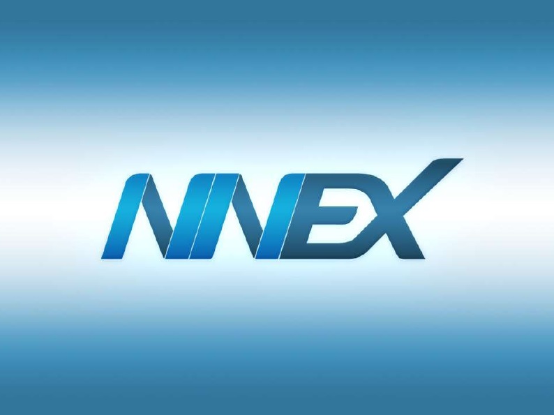 NNEX 1