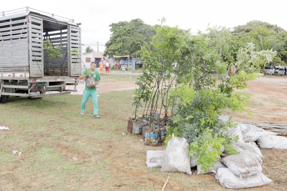 arborizando natal 1