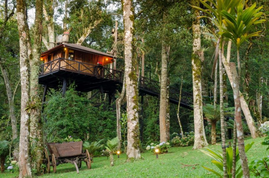 Casa na árvore em Monte Verde - MG