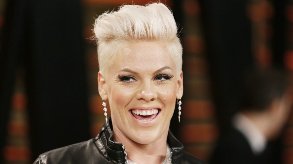 P!nk (Foto: Reprodução)