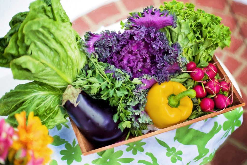 Feira de Orgânicos frutas e verduras