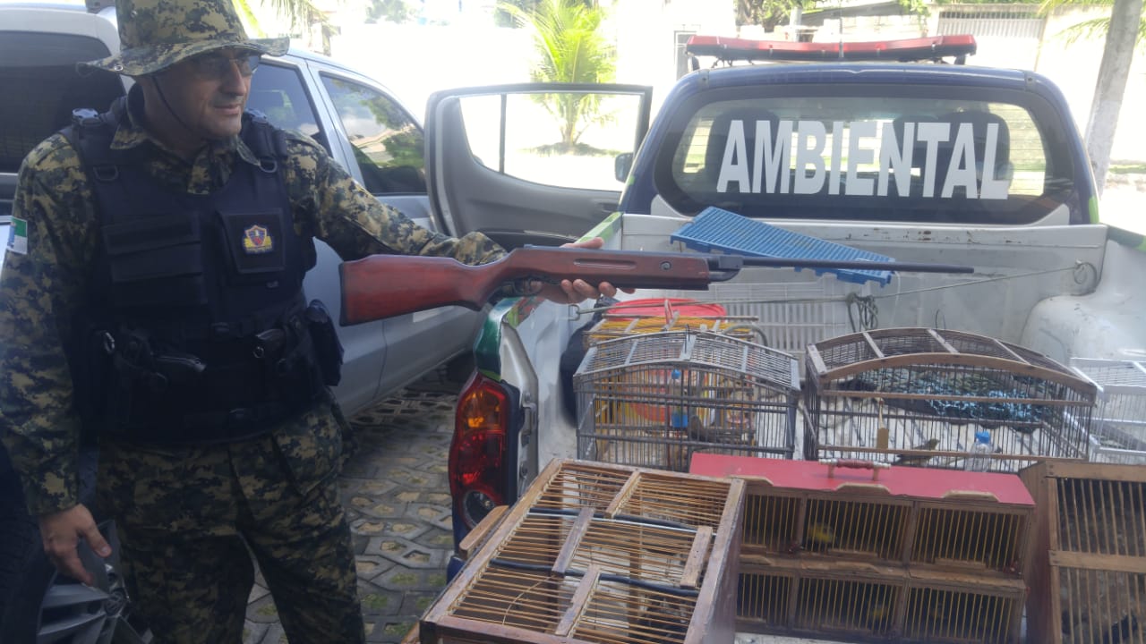 Guarda Municipal resgata 163 pássaros silvestres em feiras livres da zona Norte