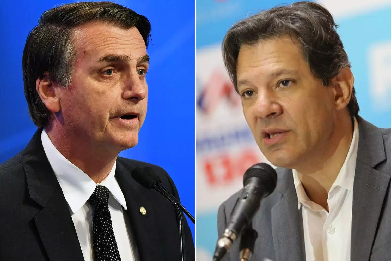 Potiguares estão divididos entre Bolsonaro e Haddad no rio grande do norte