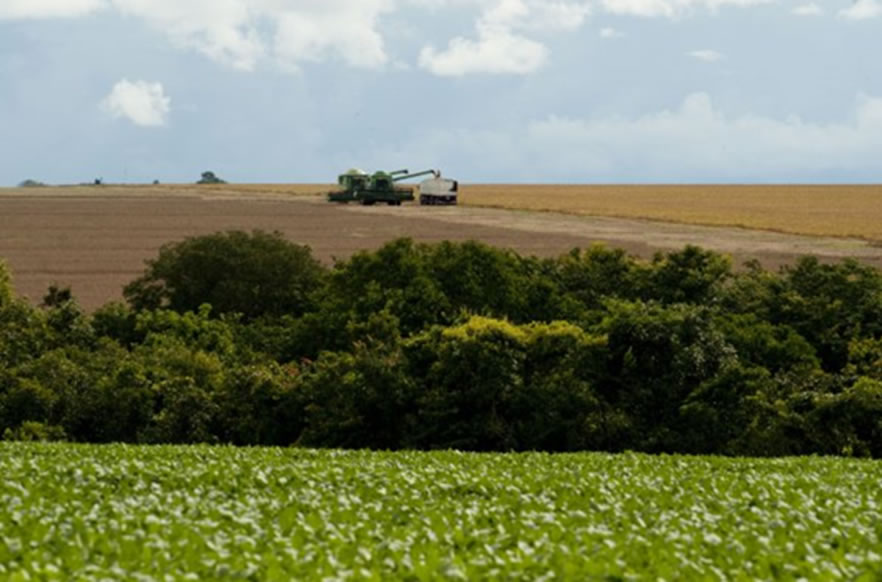 Prazo para entrega do Imposto Rural 2018 começa nesta segunda