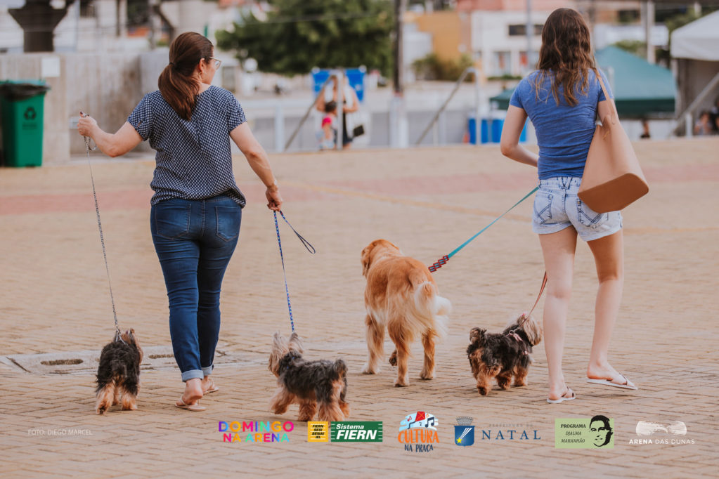 'Domingo na Arena' realiza feira de adoção de cães e gatos