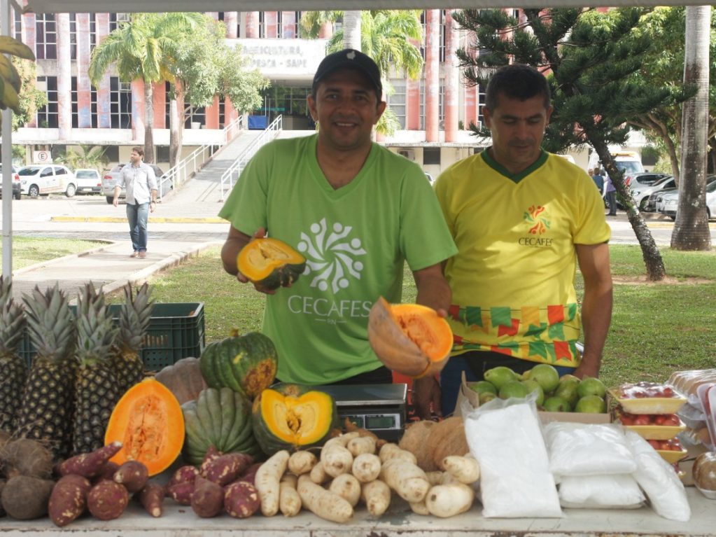 Feirinhas agroecológicas garantem escoamento da produção familiar