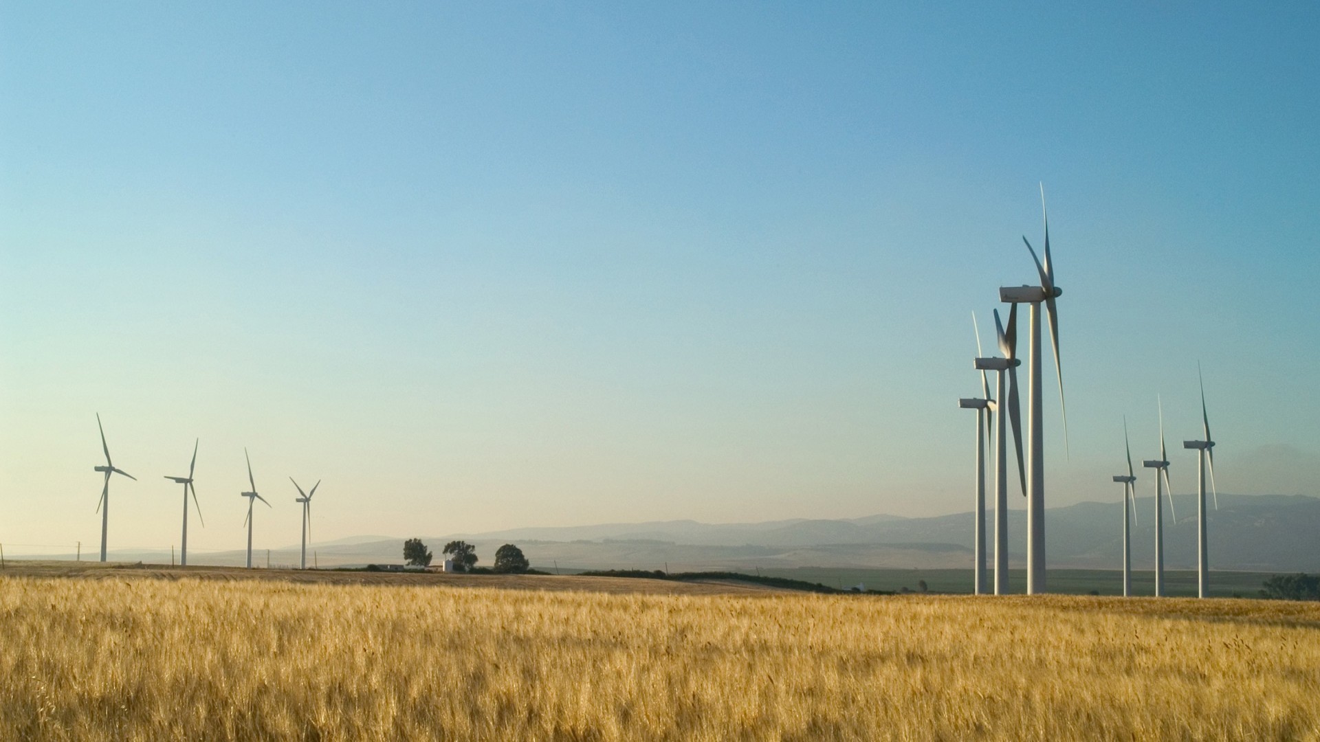 Enerfín investe R$ 1 bilhão em parque eólico no Rio Grande do Norte