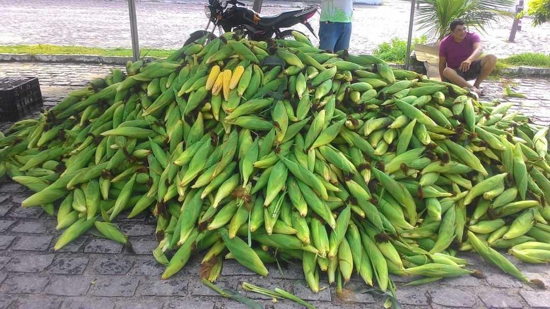 Feira do Milho em Natal RN