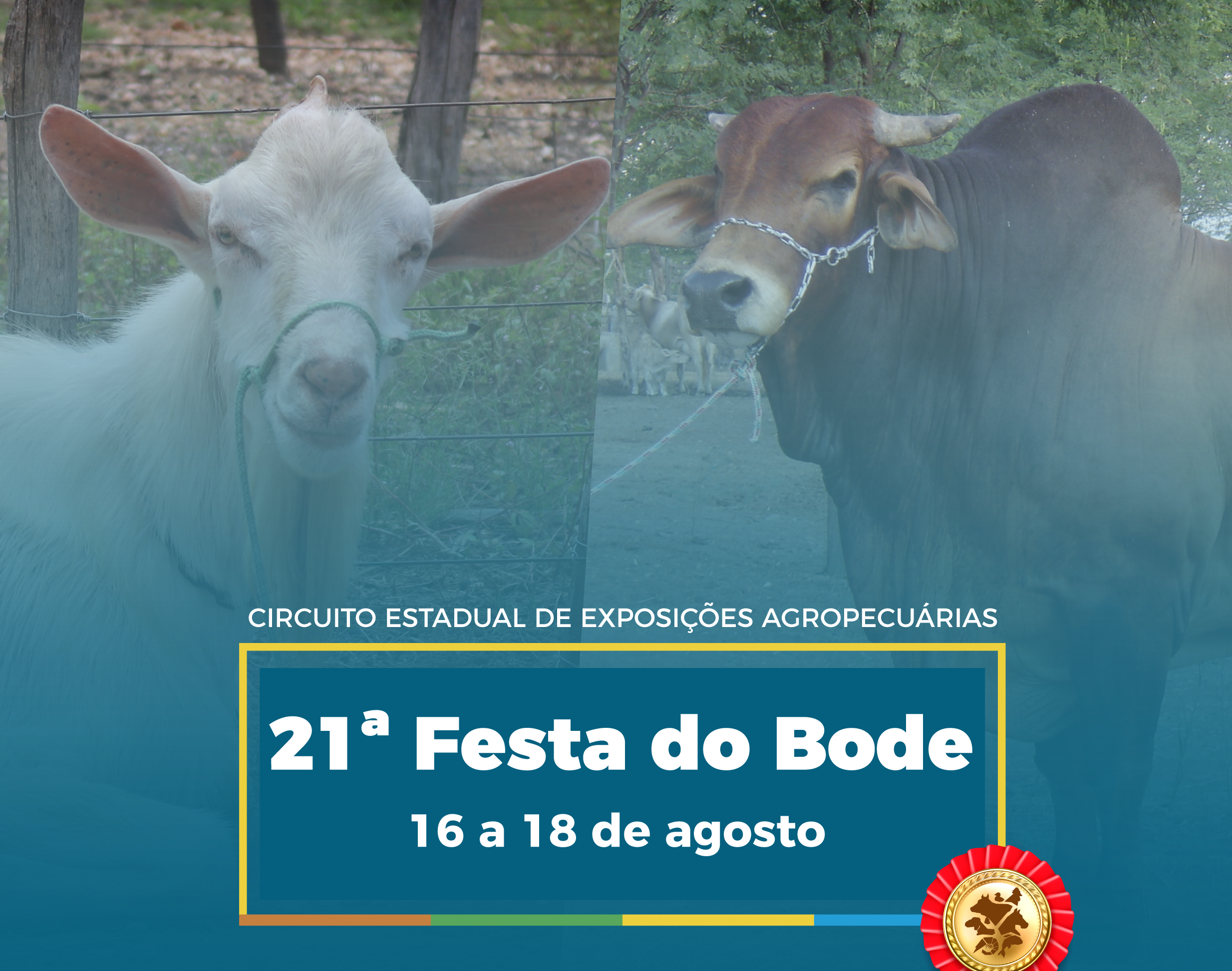 Emparn leva conhecimento e animais para 21ª Festa do Bode