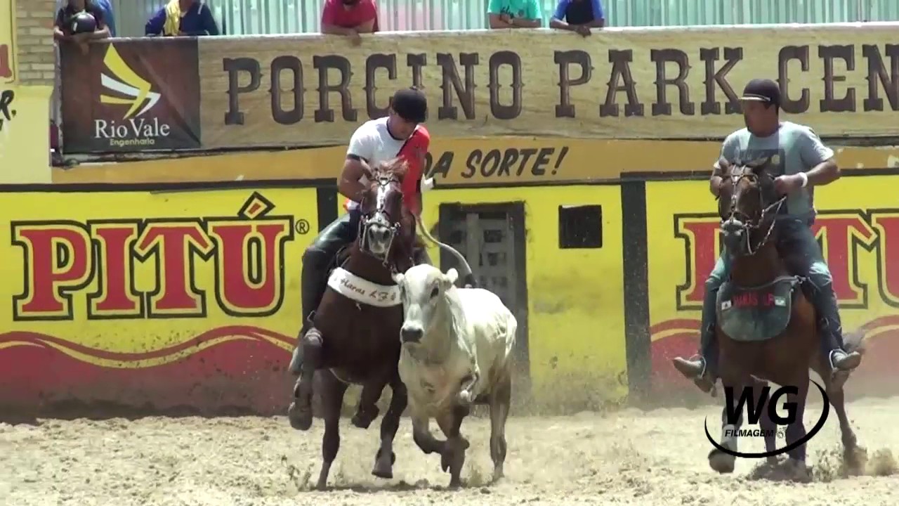 Porcino Park Center Cidadão atingido por garrafa de vidro em festa será indenizado em R 45 mil