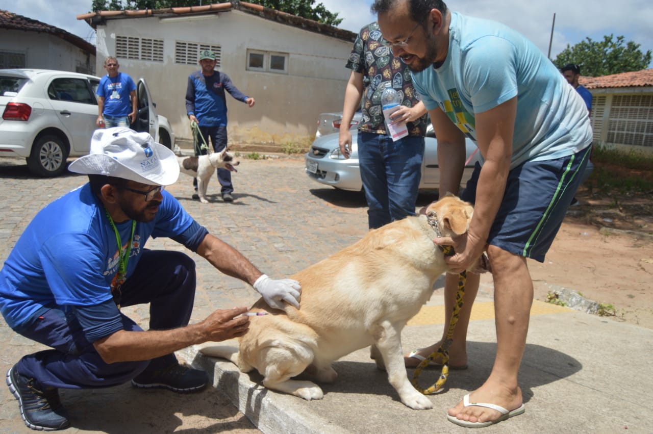 Natal encerra campanha de vacinação antirrábica nesta