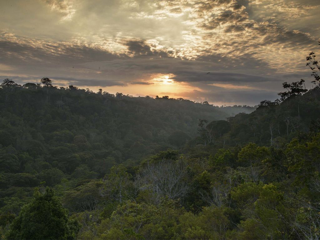 Parque Nacional do Pau Brasil