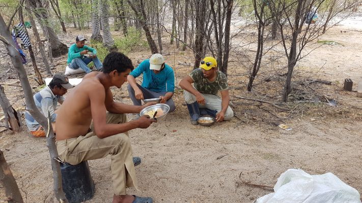 Mais de 40 trabalhadores foram resgatados do trabalho escravo no RN