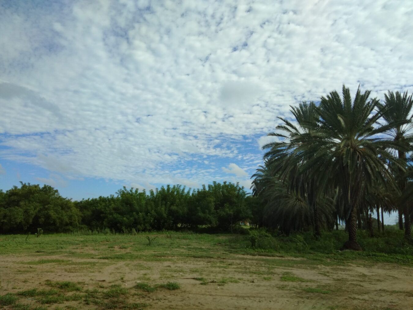 Semana com céu nublado e pancadas de chuva em todo o RN