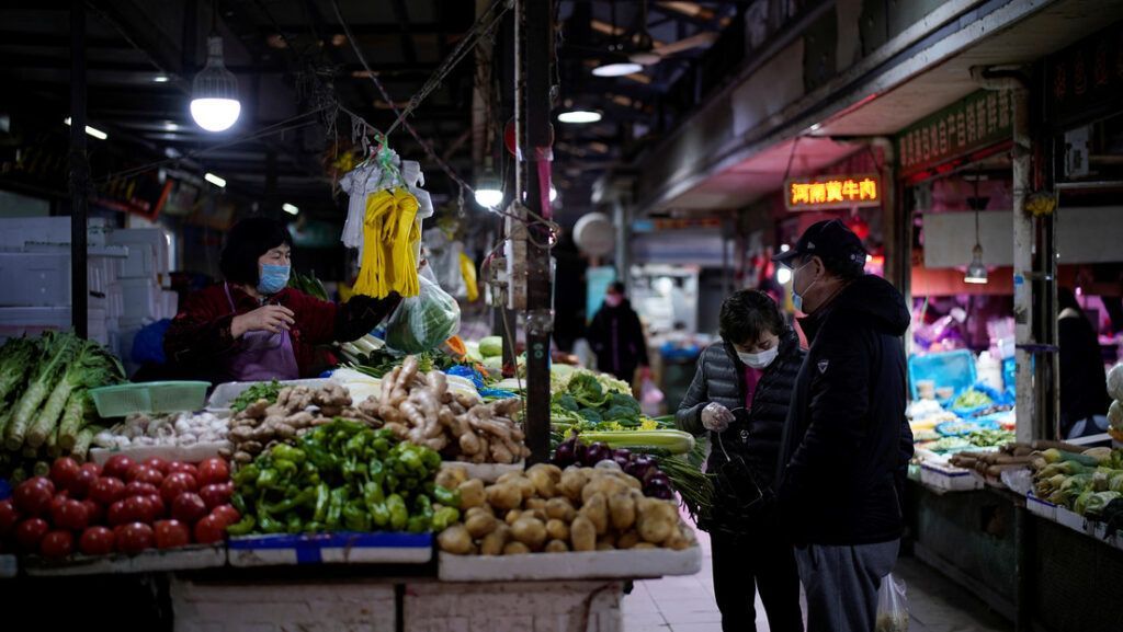 Mercados reabrem na China e continuam oferecendo morcegos, cães e outros animais vivos